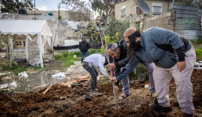 התגלית המטלטלת של המקובלים: זו הסיבה שאסור לקרוא לילדים בשמות של פירות ועצים