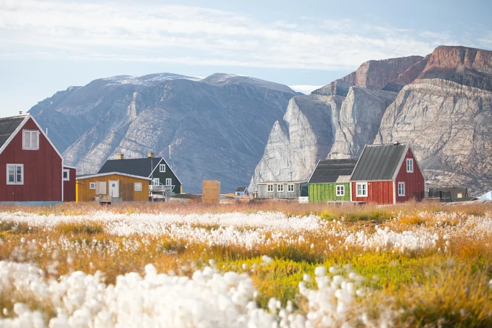 עסקת המאה בגרסה הדנית: עצומה לרכישת קליפורניה והפיכתה ל"דנמרק החדשה"