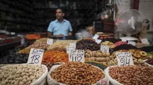 אוהבים לנשנש קשיו? גילינו את האמת המטרידה שהתעשייה לא רוצה שתדעו
