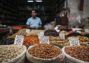 אוהבים לנשנש קשיו? גילינו את האמת המטרידה שהתעשייה לא רוצה שתדעו