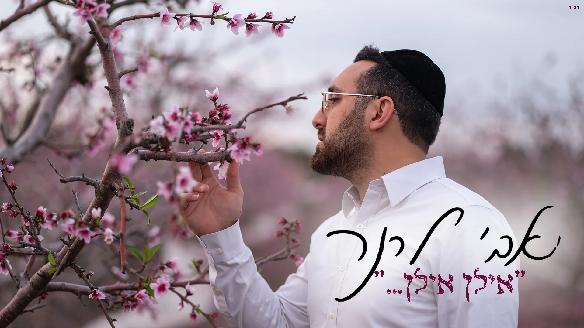 אבי לרנר - "אילן אילן"
