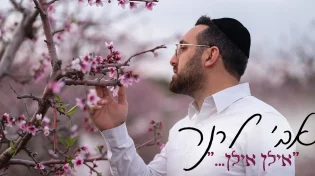 לרגל ט"ו בשבט: אבי לרנר בקאבר מסקרן "אילן אילן"