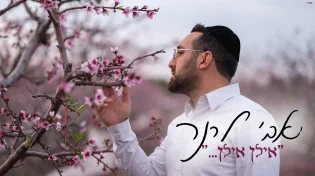 לרגל ט"ו בשבט: אבי לרנר בקאבר מסקרן "אילן אילן"