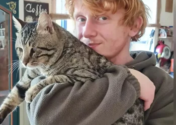 אימו של יותם ז"ל חושפת: "קיבלתי תמונות וסרטון מהשבי &ndash; ולא אפרסם אותן"