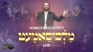 לייב נוסטלגי: "מלכוסאמט" ברנדמרק, סאמעט ומלכות על הבמה!