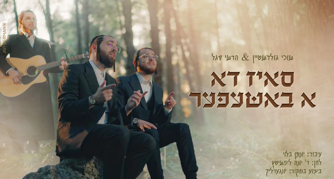 שוכי גולדשטיין, הרשי סגל - "ס'איז דא א באשעפער"