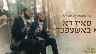 שוכי גולדשטיין, הרשי סגל - "ס'איז דא א באשעפער"