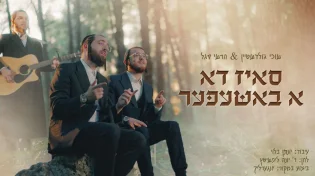 שוכי גולדשטיין, הרשי סגל - "ס'איז דא א באשעפער"