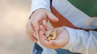טעות אחת שיכולה לעלות בחיים: הסכנה הלא מדוברת בבתי הספר