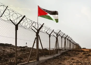 חשד לחדירה בגבול ירדן: שני חשודים נעצרו על ידי כוחות צה"ל