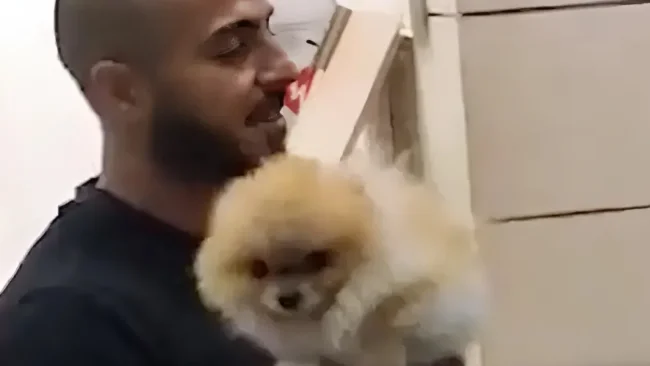 כלבו של הילד המיוחד נגנב - והשוטרים יצאו למרדף