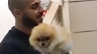 כלבו של הילד המיוחד נגנב - והשוטרים יצאו למרדף