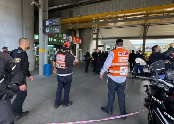 פיגוע דקירה בלב חיפה: חמישה נפצעו, בהם אחד באורח אנוש