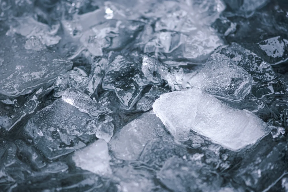 האיש שהפך את הקור לכוח-על – וזה מה שהוא מלמד את העולם האיש שהפך את הקור לכוח-על – וזה מה שהוא מלמד את העולם