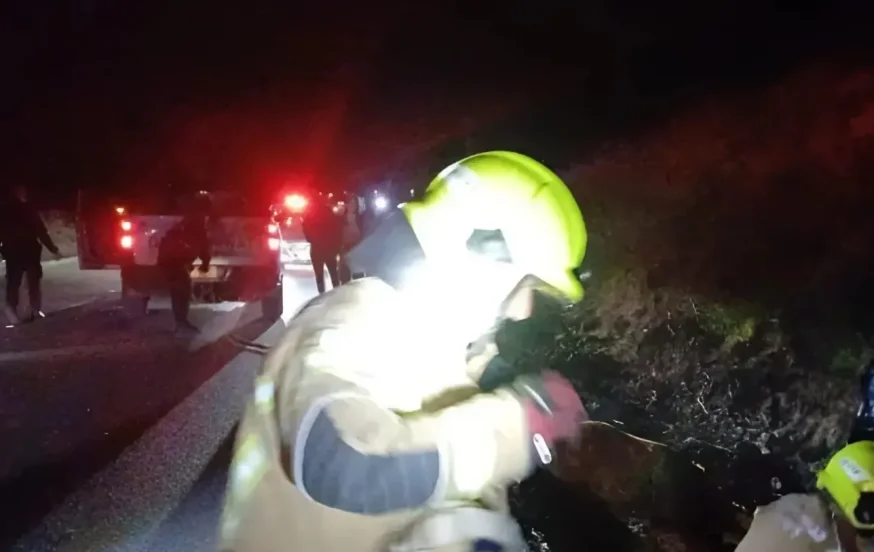 טרגדיה בצפון: אישה נהרגה לאחר שרכבה פגע בסוס משוטט בכביש 808 טרגדיה בצפון: אישה נהרגה לאחר שרכבה פגע בסוס משוטט בכביש 808