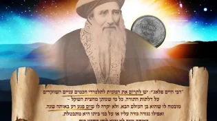 "להוציא את המקסימום" מתרומת זכר למחצית השקל - כך תהפכו כל שקל ל-1,000 שקלים של ברכה!