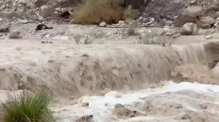 תיעוד עוצר נשימה מנחל ערוגות הבוקר - כך זה נראה אחרי הגשמים