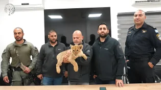 מבצע נרחב בנגב: גור אריות ושני קופים הוחרמו - הועברו לטיפול מקצועי