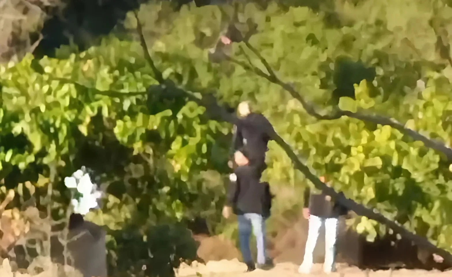 בהלה בנתב"ג: נוהל חירום הופעל בעקבות ניסיון לפרוץ מחסום בהלה בנתב"ג: נוהל חירום הופעל בעקבות ניסיון לפרוץ מחסום