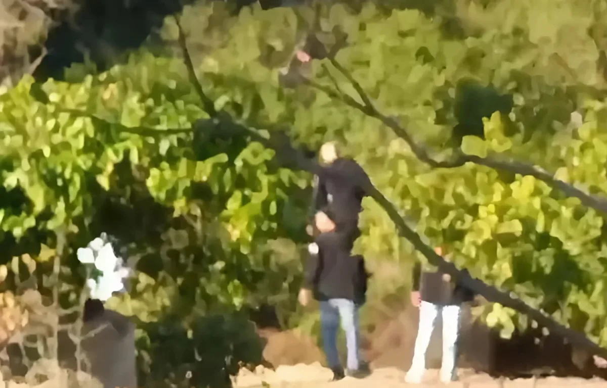 בהלה בנתב"ג: נוהל חירום הופעל בעקבות ניסיון לפרוץ מחסום