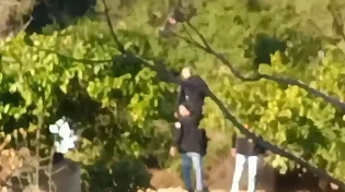 בהלה בנתב"ג: נוהל חירום הופעל בעקבות ניסיון לפרוץ מחסום