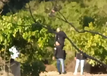 בהלה בנתב"ג: נוהל חירום הופעל בעקבות ניסיון לפרוץ מחסום