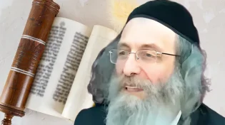 הרב אלימלך בידרמן: "דילגו" עליך משמיים? אולי נבחרת!