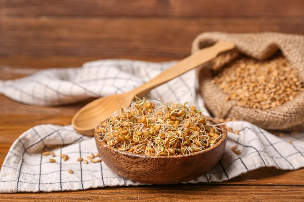 התוספת הבריאה שכולם מדברים עליה: למה כדאי לכם להתחיל לאכול נבט חיטה? התוספת הבריאה שכולם מדברים עליה: למה כדאי לכם להתחיל לאכול נבט חיטה?