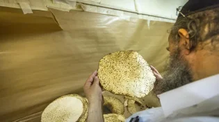 ללמוד הלכות פסח 30 יום מראש - חובה גם בימינו? בדקנו