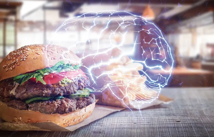 המוח נפגע תוך חמישה ימים בלבד: כך ג'אנק פוד משבש את תחושת השובע המוח נפגע תוך חמישה ימים בלבד: כך ג'אנק פוד משבש את תחושת השובע