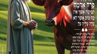 מגזין ערוץ 2000 - פרשת ויקהל