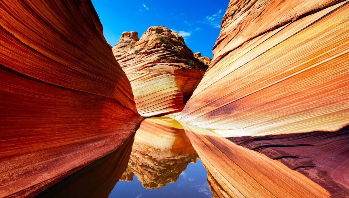 התופעה הטבעית שכולם רוצים לראות – ורק מעטים זוכים