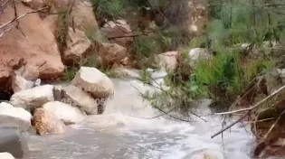 מדהים: הנחלים בירושלים מתמלאים - כך זה נראה בנחל רבידה