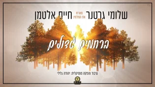 ברחמים גדולים - שלוימי גרטנר & המלחין חיים אלטמן בשיר קומזיץ מרגש