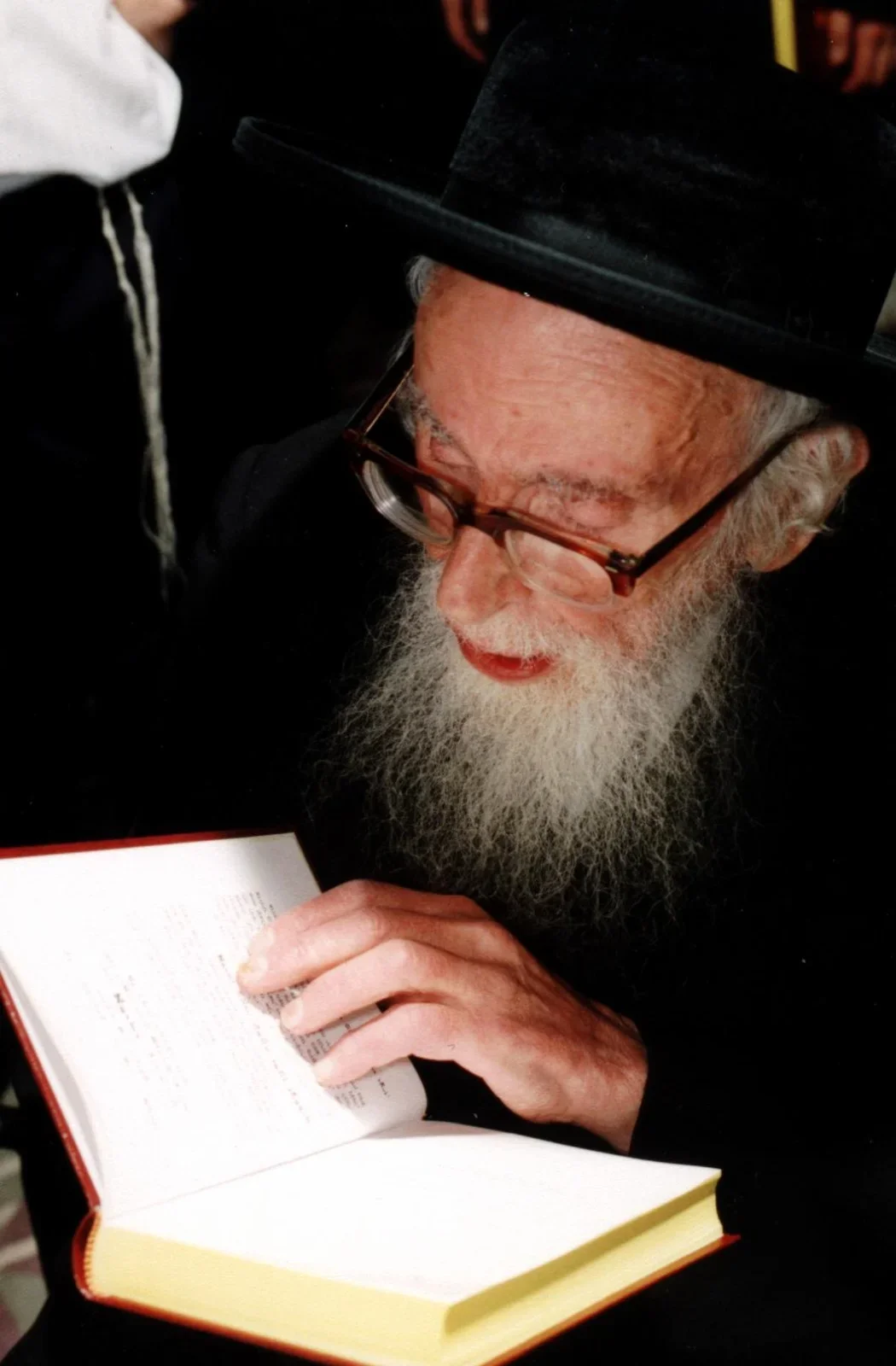 מטלטל: למה הרב אויערבך סירב לטרמפ בגשם שוטף?