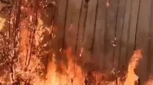 תיעוד משריפות הענק בצ'ילה - אלפים נמלטים מהלהבות