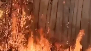 תיעוד משריפות הענק בצ'ילה - אלפים נמלטים מהלהבות