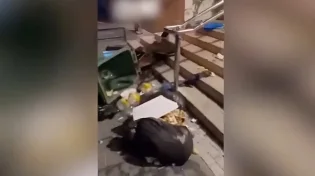 זעזוע בת"א: פסולת הושלכה מחוץ לבית הכנסת 