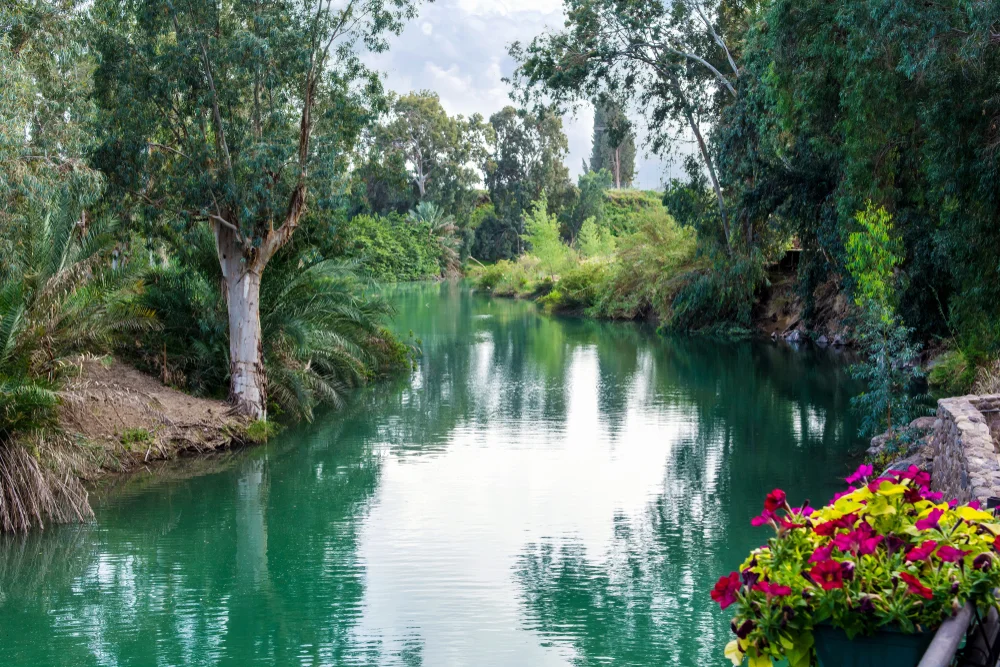 על איזה עץ לא מברכים ברכת האילנות? על איזה עץ לא מברכים ברכת האילנות?