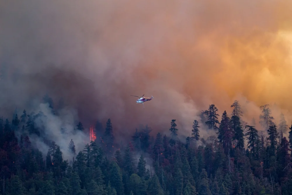 השריפה החמורה בתולדות קוריאה הדרומית: משרד החוץ מזהיר ישראלים – הימנעו מהגעה לאזור