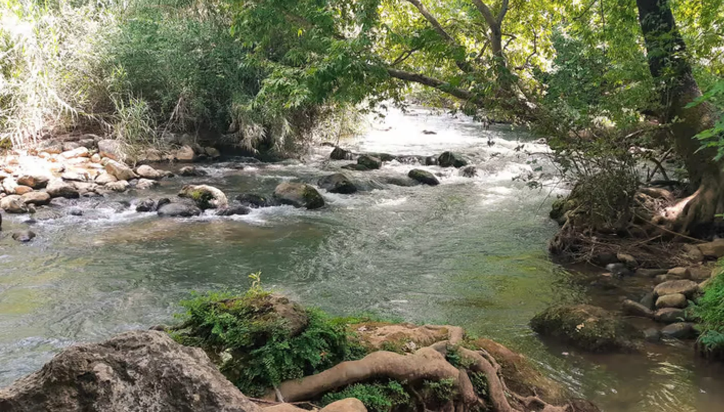 חול המועד פסח: 10 נחלים שווים שיעשו לכם ריסטארט מהניקיונות חול המועד פסח: 10 נחלים שווים שיעשו לכם ריסטארט מהניקיונות