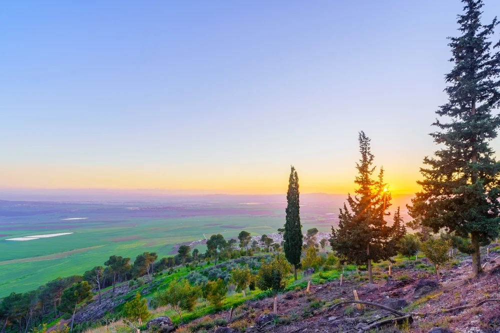 מדוע מברכים ברכת האילנות דווקא בניסן?