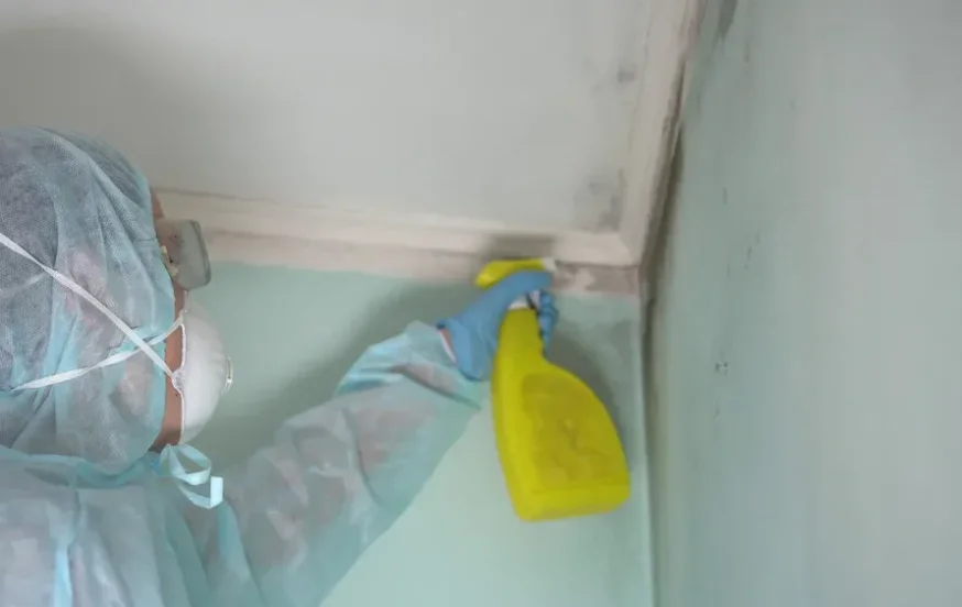 העובש בתקרת האמבטיה לא חייב להישאר שם – השיטה הפשוטה שמעלימה אותו העובש בתקרת האמבטיה לא חייב להישאר שם – השיטה הפשוטה שמעלימה אותו