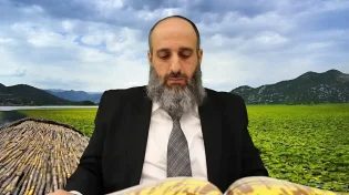איך להכשיר את הכלים לפסח I הלכות הגעלה וליבון כלים