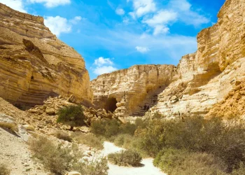 דו"ח חמור: ישראל לא ערוכה לשינויי האקלים – "השלכות קשות על חוסן המדינה" דו"ח חמור: ישראל לא ערוכה לשינויי האקלים – "השלכות קשות על חוסן המדינה"