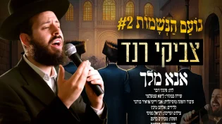 אנא מלך - צביקי רנד בקאבר מרגש לשירו של ליפא שמעלצר