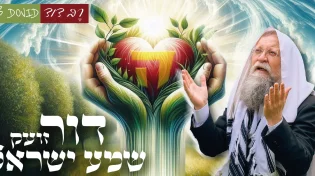 רֶבְּ דָוִד בסינגל בכורה מרגש - “דור זועק שמע ישראל”