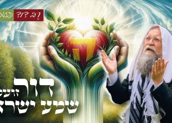 רֶבְּ דָוִד - “דור זועק שמע ישראל”