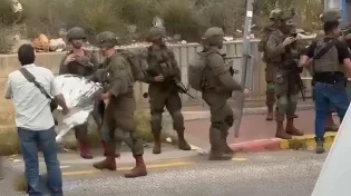 צה"ל סיכל פיגוע דקירה - המחבלת נוטרלה