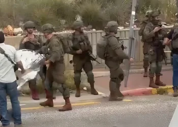 צה"ל סיכל פיגוע דקירה &ndash; המחבלת נוטרלה